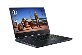 Acer Predator Helios 300 - PH317-56-739Z